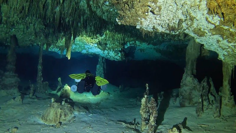 Cenote Diving and Scuba Certifications with Diving Universe
