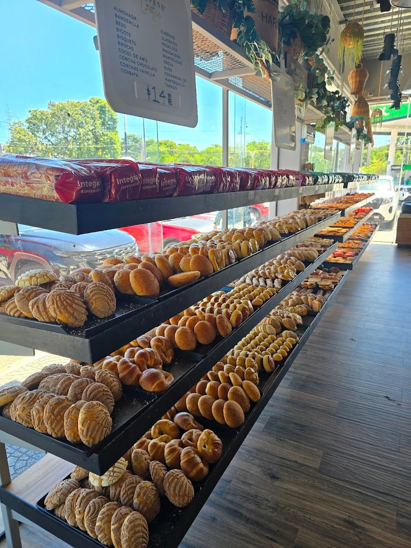 Bon Pane