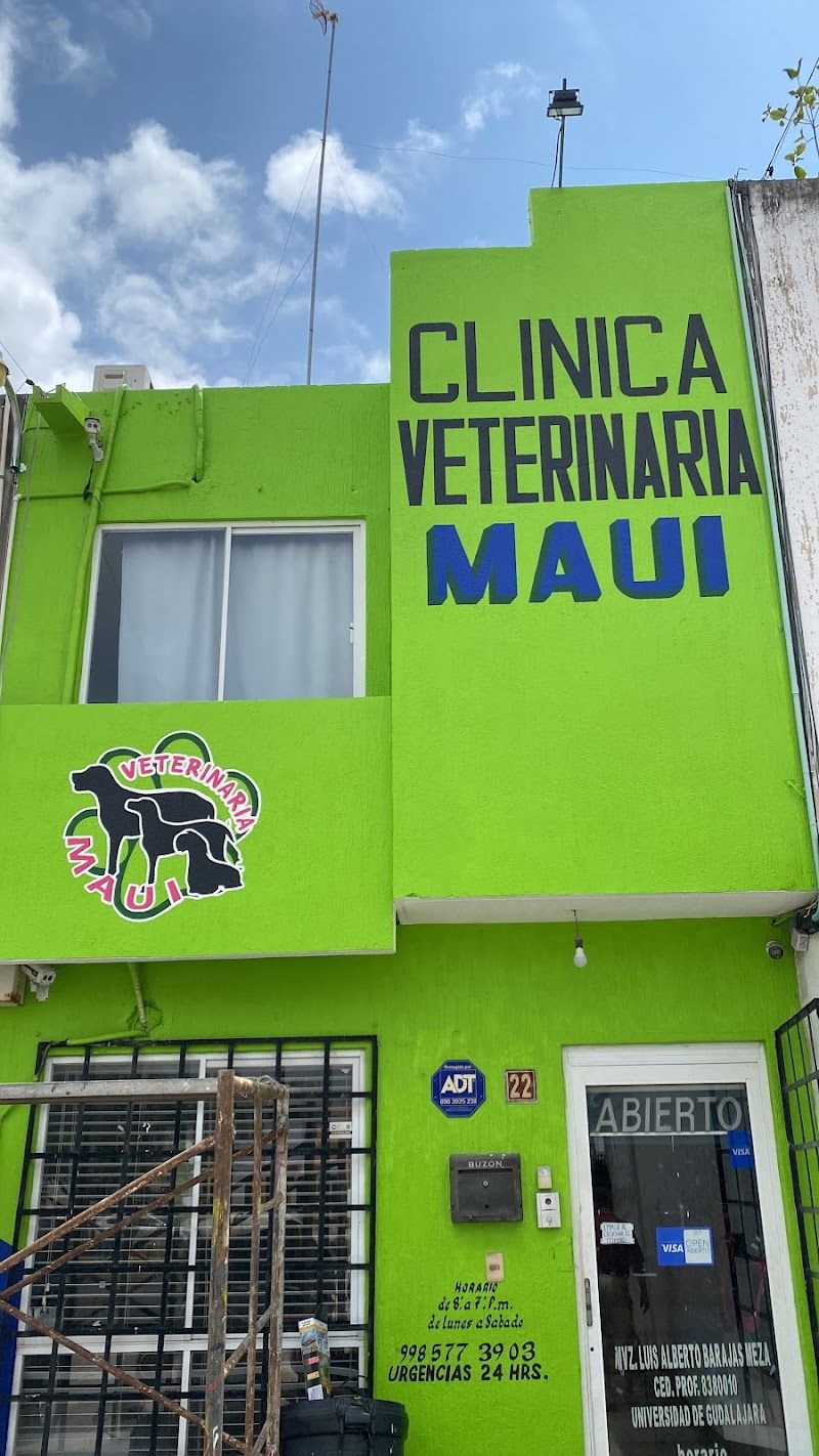 Clinica Veterinaria Maui