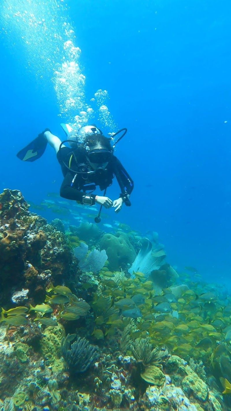 Sea Star Scuba