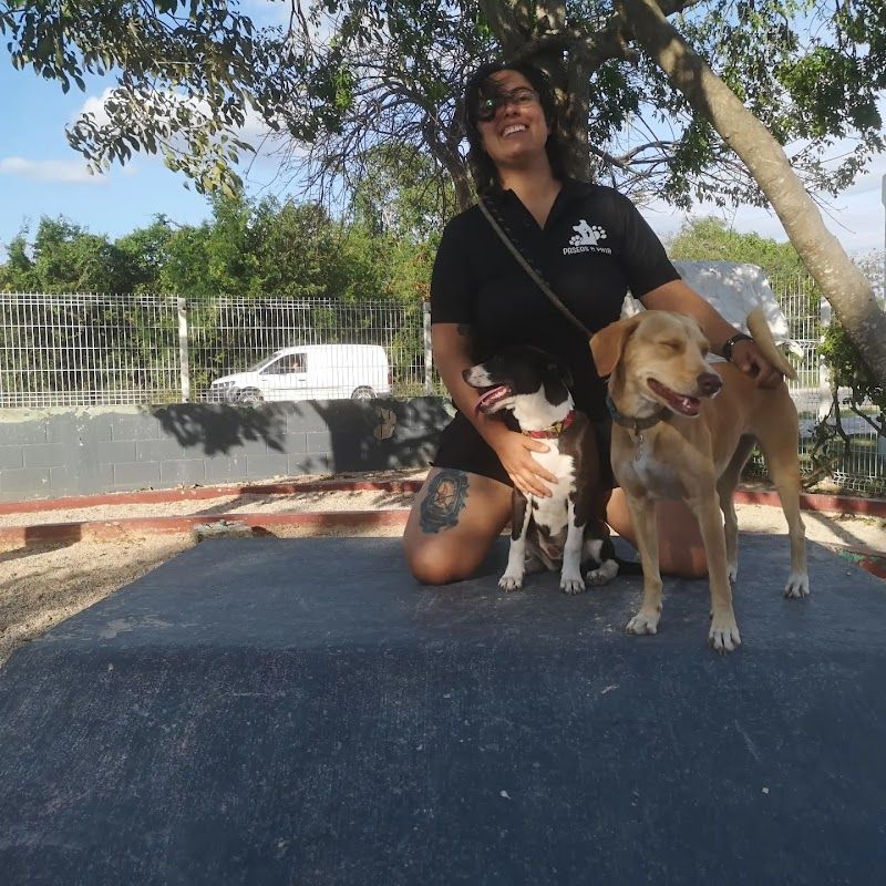 Paseos a Pata