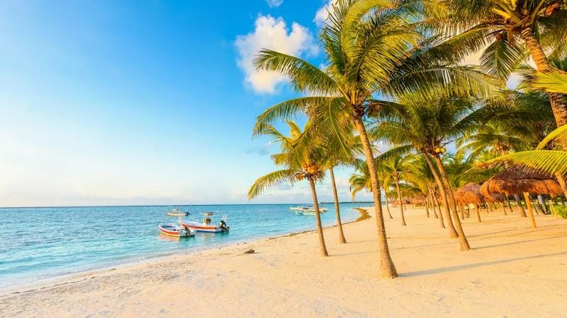Caribbean Realtors