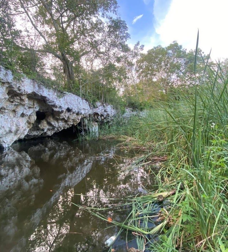 Cenote verde