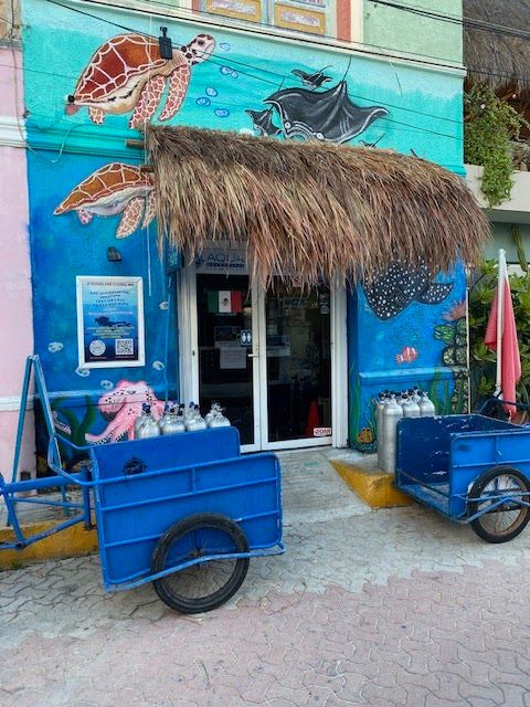 Aqua Adventures Eco Divers, 5 Star Padi Dive Center