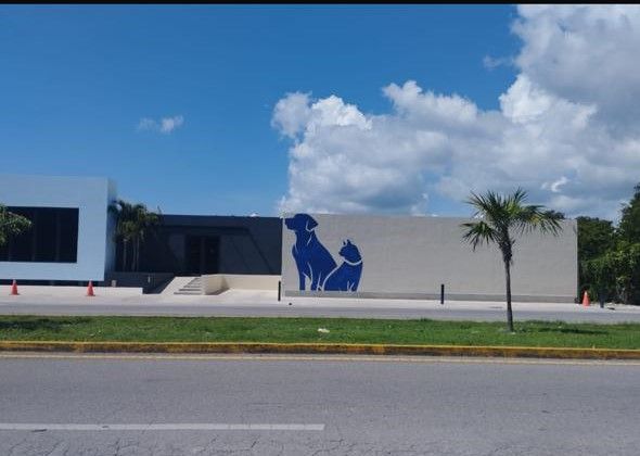 Ocean Vet Hospital Veterinario
