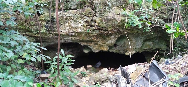 Vestigio maya y cenote