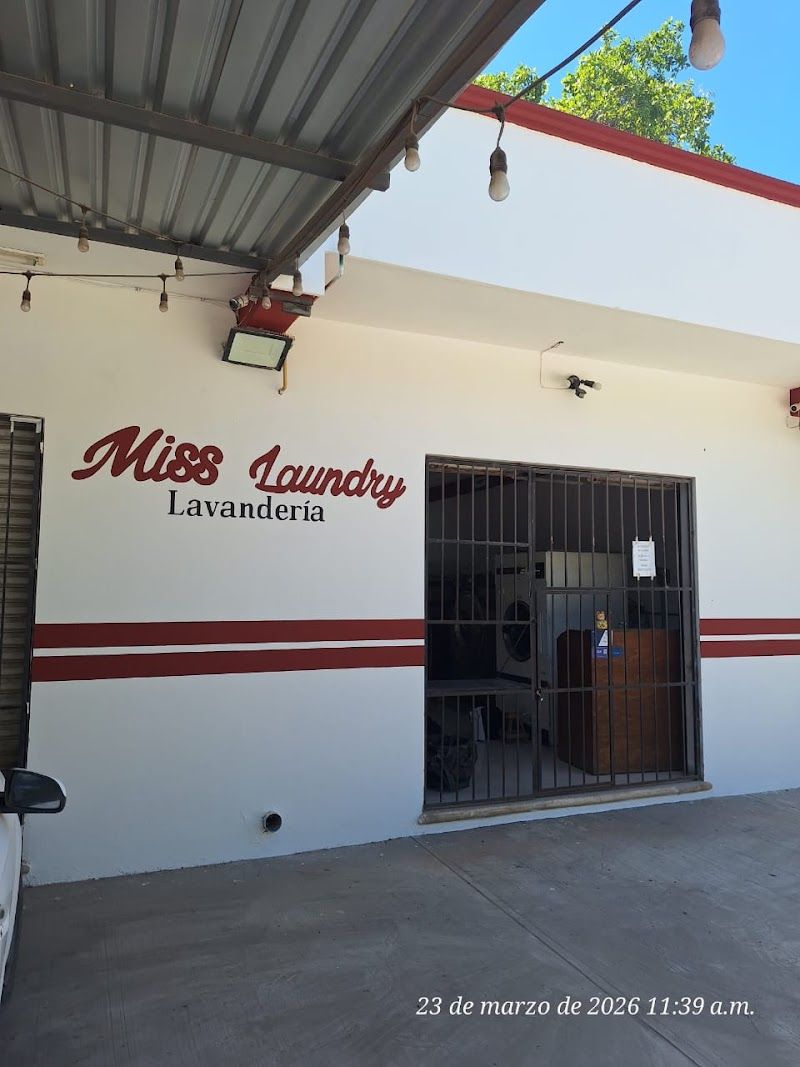 Miss Laundry (WhatsApp only)