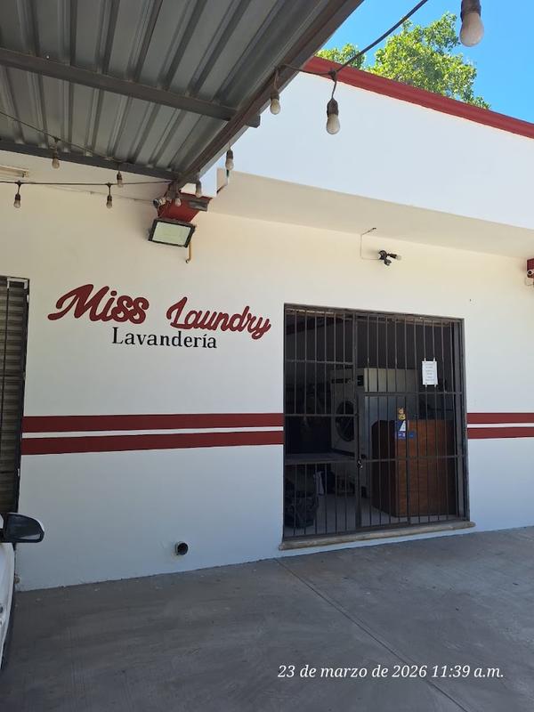 Miss Laundry (WhatsApp only)