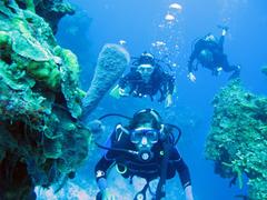 Cancun Scuba Center