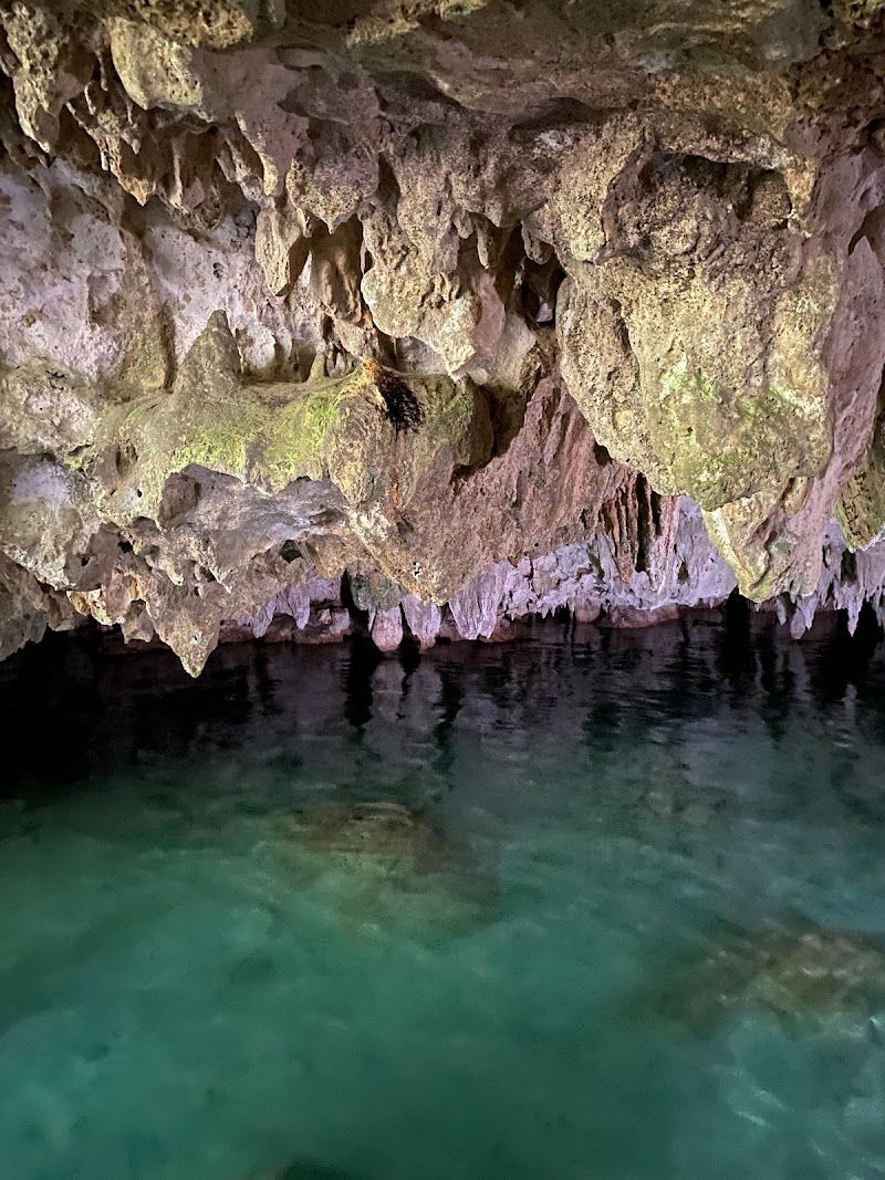 Tours, Scooters, ATVs, yacht - Maya 1 Travel
