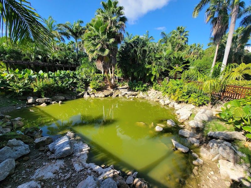 Cenote Ojo de Agua