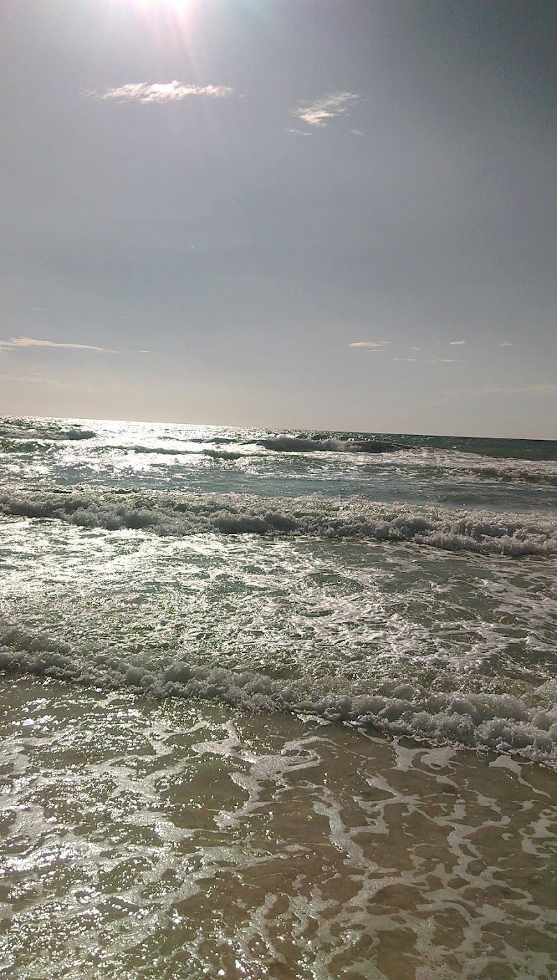 Playa Ballenas