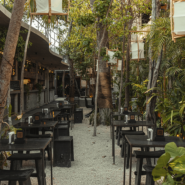Curry Thai Restaurant