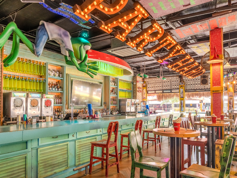 Señor Frog's | Cancún