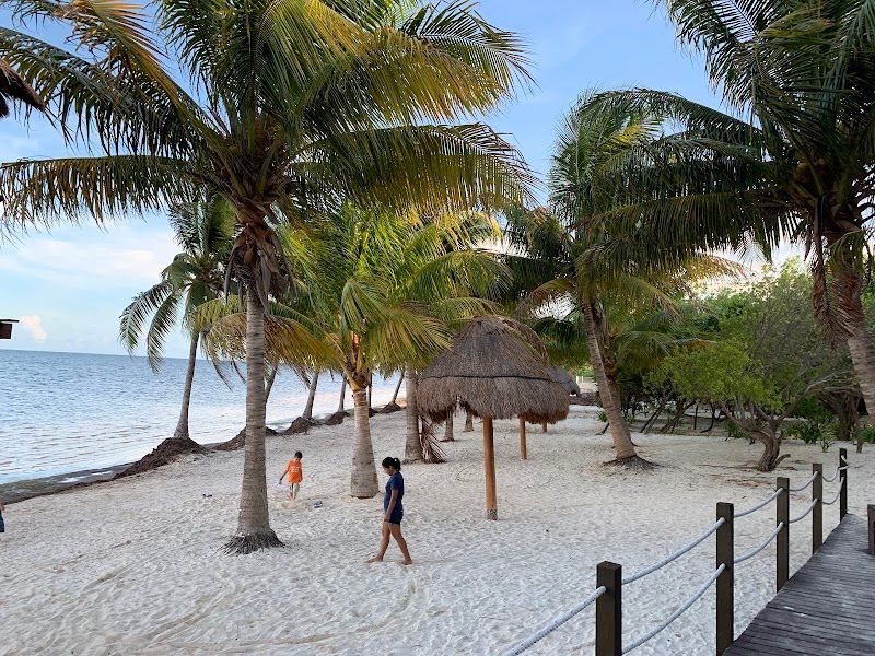 Playa Coral (El Mirador II)