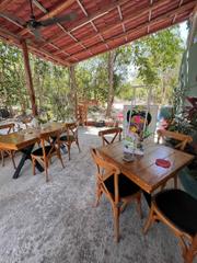 Paraíso Café