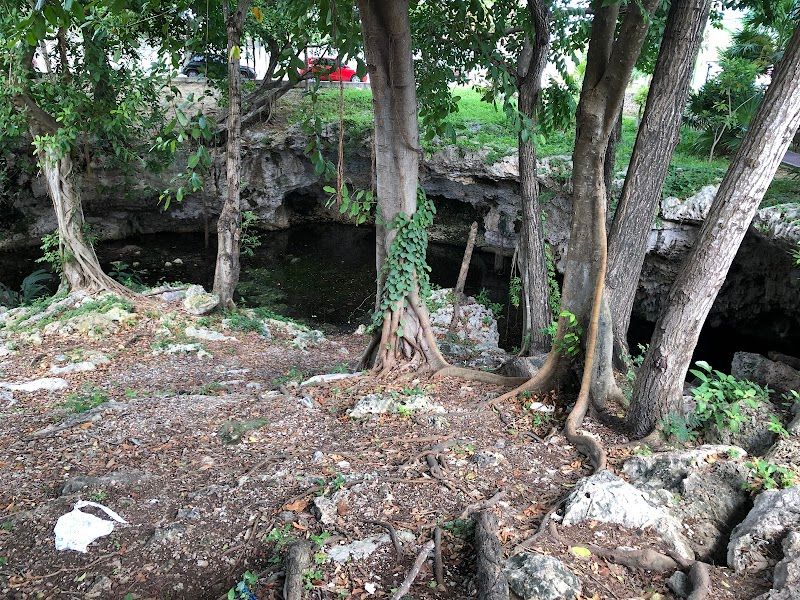 Cenote Region 100