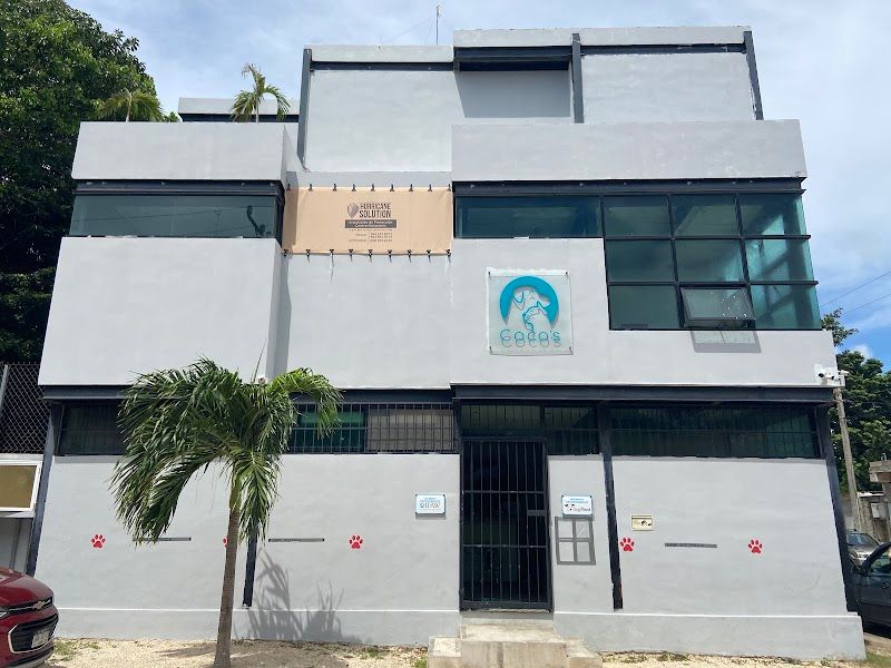 Coco's Animal Welfare Clinic