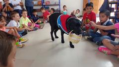 Hotel y entretenimiento canino (Didactycan)