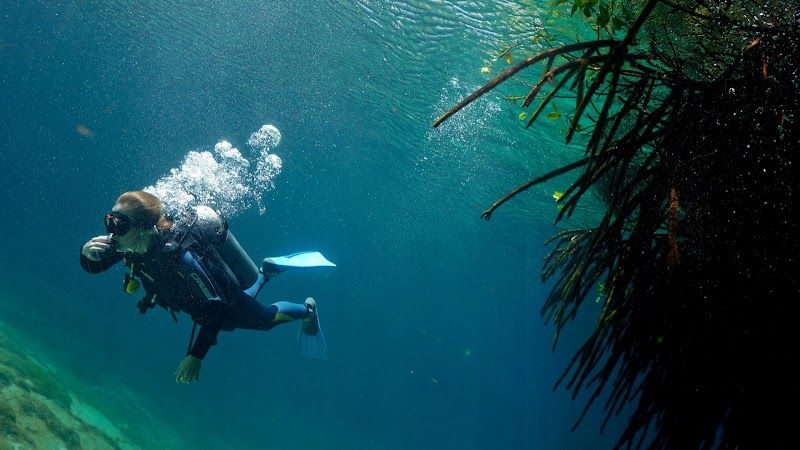 Koox Diving Playa del Carmen