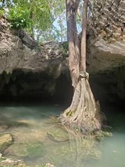Cenote Getsemani in-house