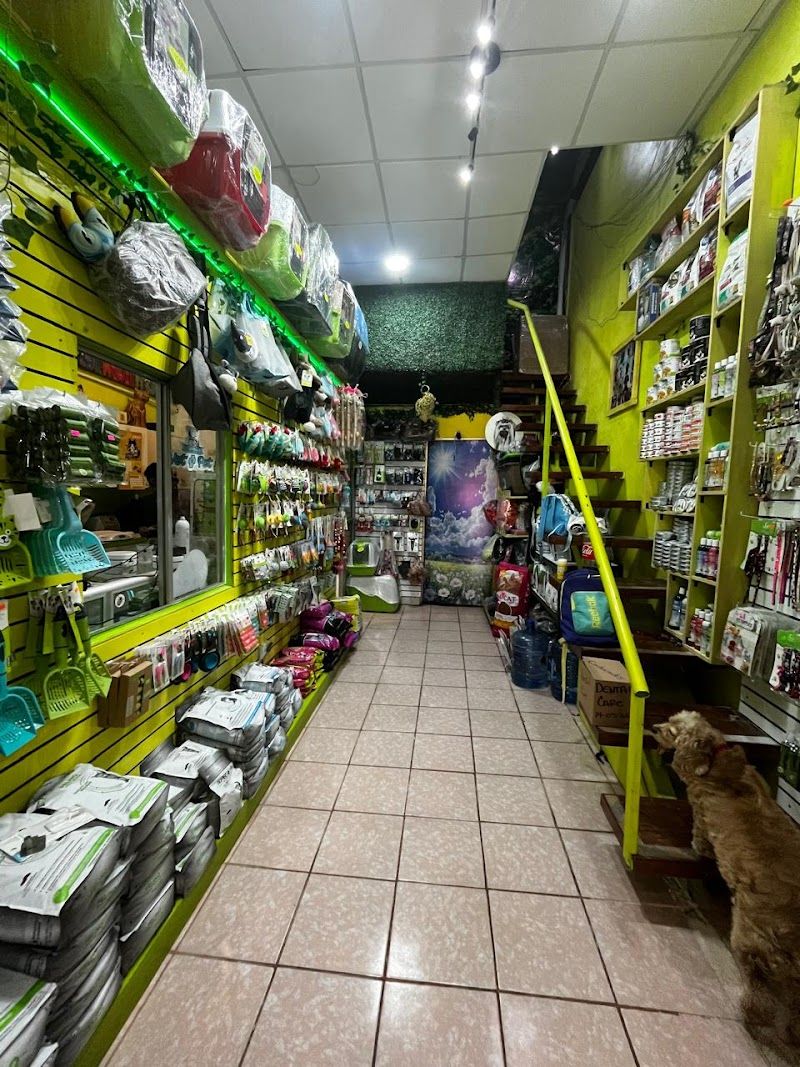 VET PET VETERINARIA TULUM