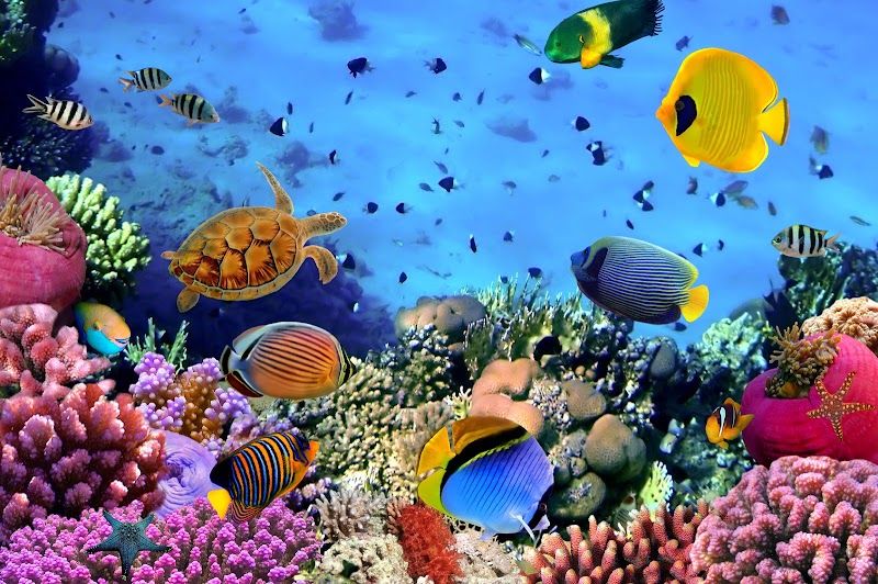 CANCUN TOURS & CANCUN EXCURSIONS