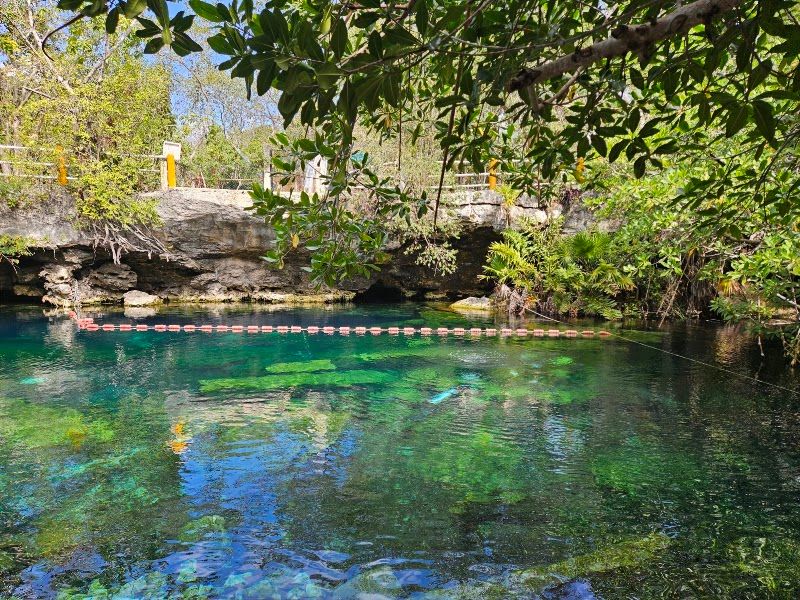 Cenote cristalino
