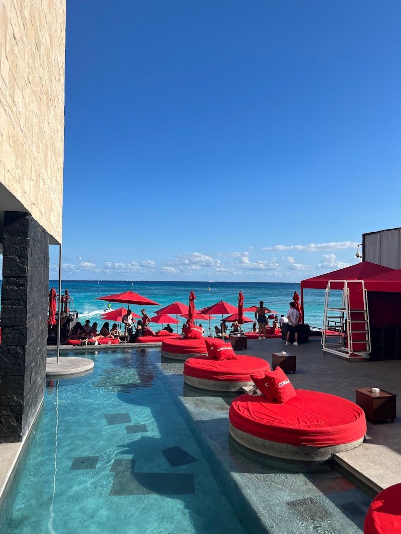 Coralina Daylight Club