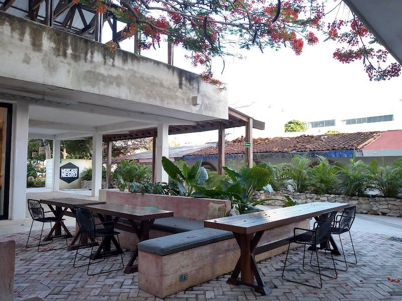 Onesto Café