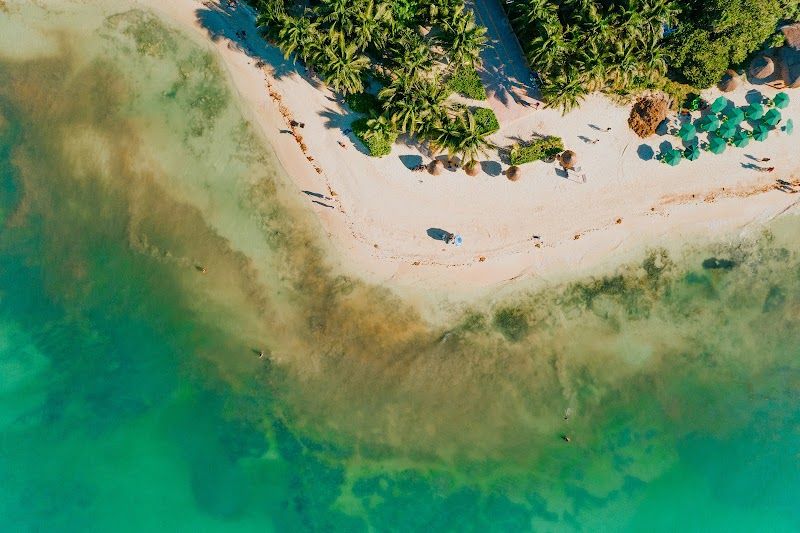 Living Riviera Maya Real Estate
