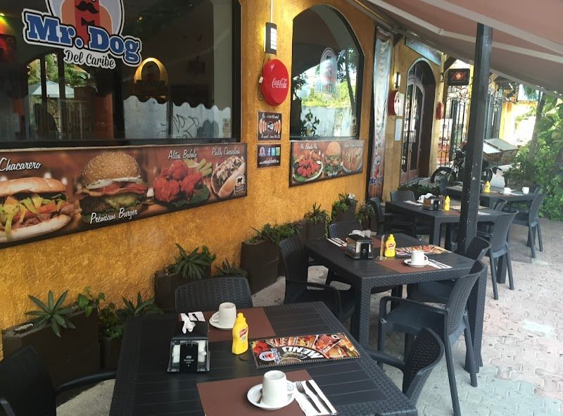 Mr Dog del Caribe Playa Centro