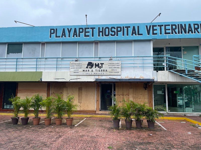 Playa Pet