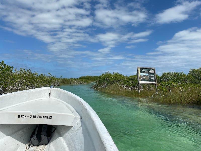 Go Native Tulum Tours