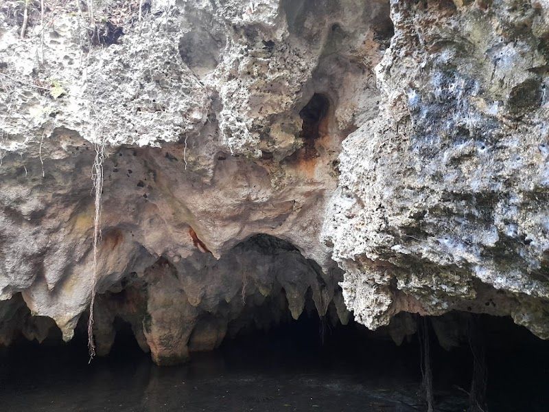 Cenote Urbano la Joya
