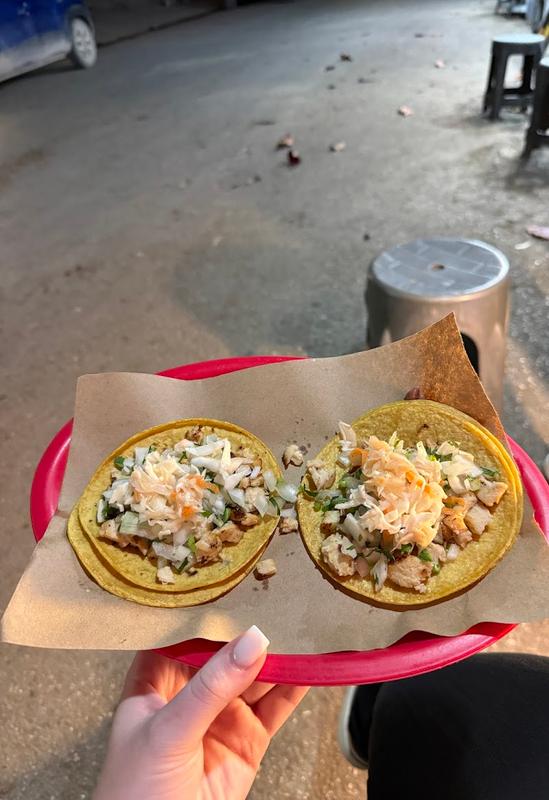 El bocho tulum