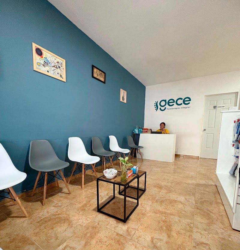 Fisioterapia Integral GECE