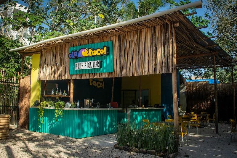 OLA TACO!