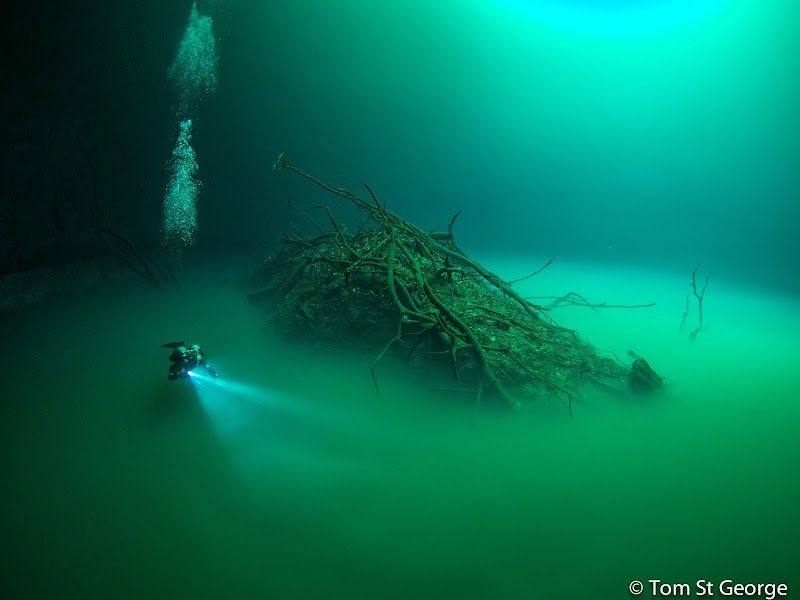 La Calypso Dive Center - Cenote diving