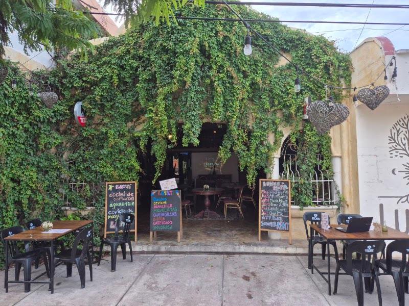 Bayati – Cocina Mexicana