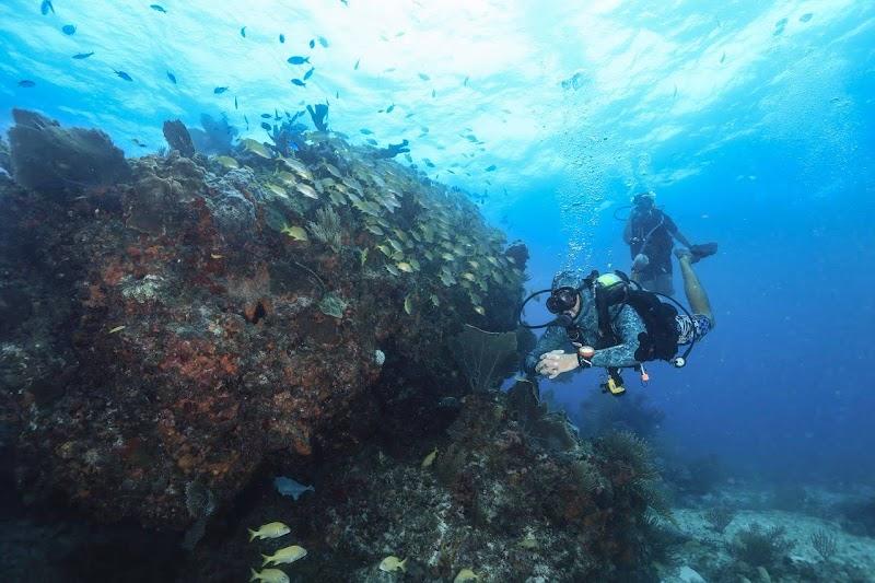 Scuba Total