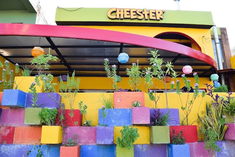 Cheester (CHSTR) Palapas