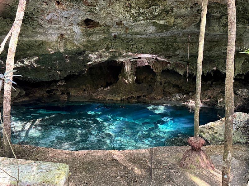 Cenote Diving And Snorkeling Experiences