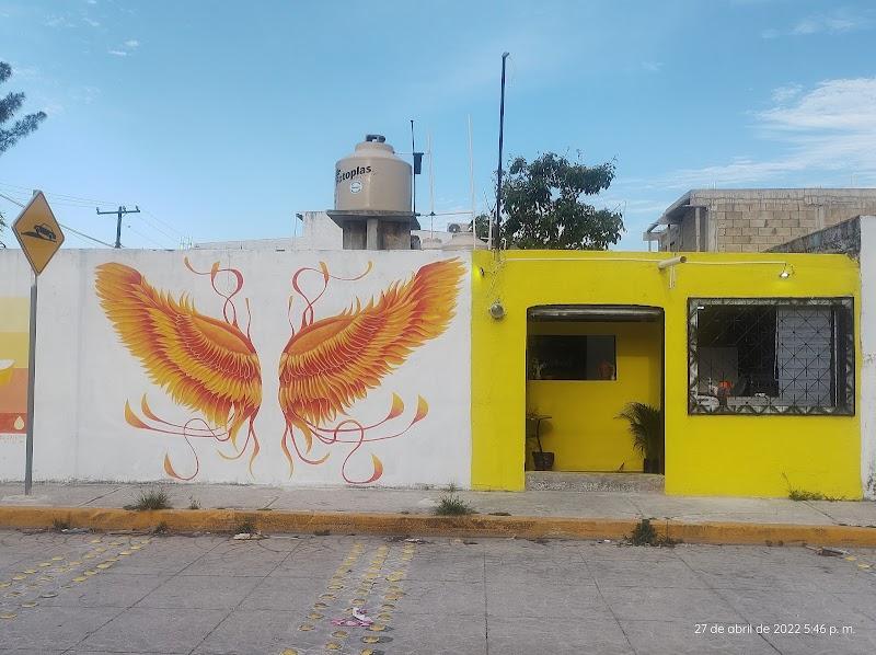 PHOENIX WINGS CANCÚN