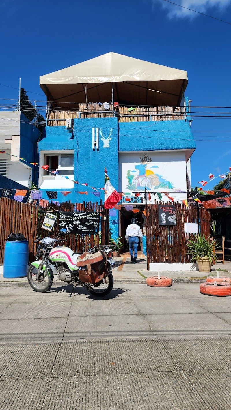 Hostal Venado 8
