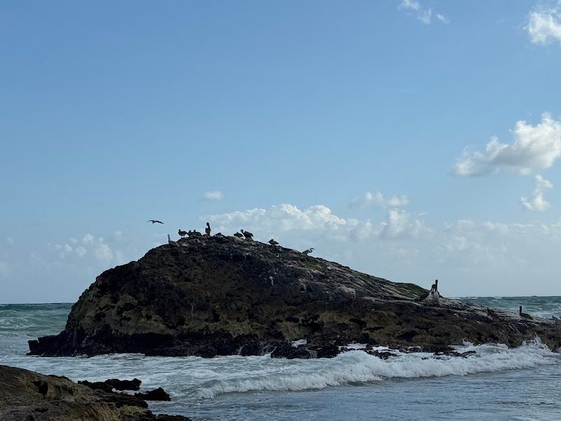Playa Punta Piedra