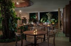 Zapote Bar