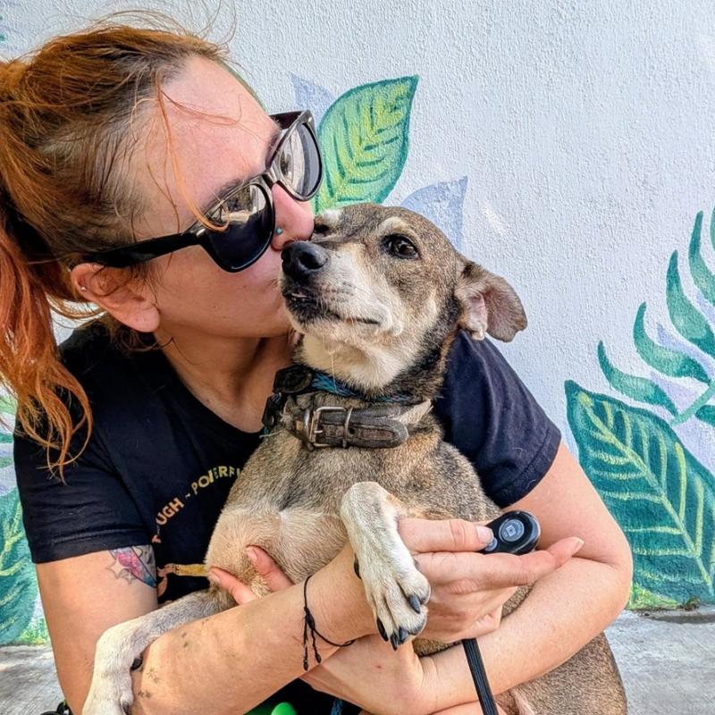 Brenna Palen / Thrive Dog School